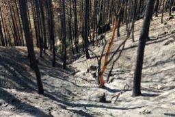 HOY, EN EL CONSEJO DE MINISTROS 