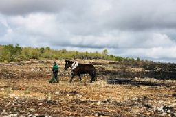 EL INCENDIO OCURRIÓ EN AGOSTO DE 2017 