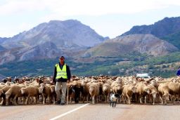 En el Comité Científico Asesor del SIPAM 
