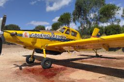 PARA LAS CAMPAÑAS DE VERANO  2020  Y  2021 