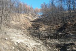 El Ministerio de Agricultura, Pesca y Almentación ha ejecutado las obras 