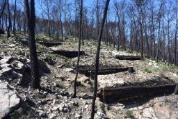 EL INCENDIO SE INICIÓ EL PASADO 6 DE AGOSTO 