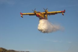 A petición de las autoridades portuguesas 