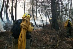 PARA COLABORAR CON LAS COMUNIDADES AUTÓNOMAS DE CATALUÑA, CASTILLA Y LEÓN, CASTILLA-LA MANCHA Y ARAGÓN 