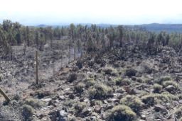 SE PRODUJO EN ABRIL DE 2018  