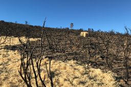 EL MINISTERIO DE AGRICULTURA, PESCA Y ALIMENTACIÓN HA EJECUTADO LOS TRABAJOS  