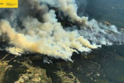 Tras el incendio del pasado 4 de agosto