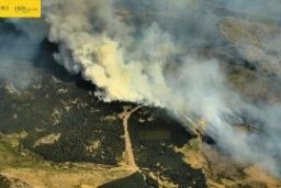 EN COLABORACIÓN CON LAS COMUNIDADES AUTÓNOMAS DE MADRID Y CASTILLA Y LEÓN