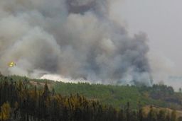 DECLARADO EL PASADO 20 DE JULIO 