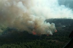 DECLARADO ESTA TARDE