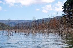 Tras los efectos producidos por la Depresión Aislada de Niveles Altos (DANA) en la Comunidad Valenciana 