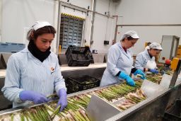 MEDIANTE UN EXTRACTO DE ORDEN PUBLICADO HOY EN EL BOE 