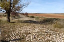 Como consecuencia de los efectos producidos por la Depresión Aislada de Niveles Altos (DANA) 