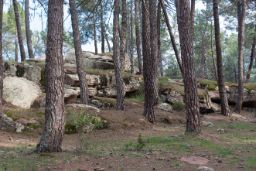 SE INICIA MAÑANA, 5 DE ENERO, Y FINALIZA EL PRÓXIMO 2 DE FEBRERO  