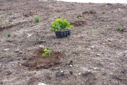 SE PRODUJO A MEDIADOS DE OCTUBRE DE 2017 