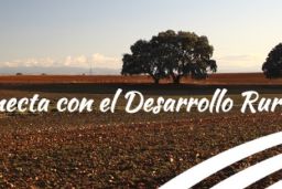 Encuesta de la Red Rural Nacional (RRN) 