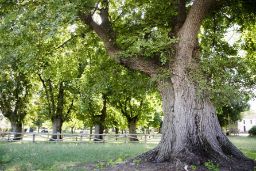 EL GANADOR SERÁ EL ASPIRANTE ESPAÑOL AL CERTAMEN EUROPEO 
