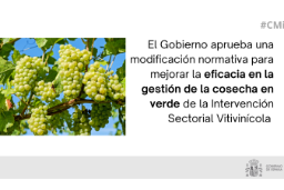 Hoy, en Consejo de Ministros