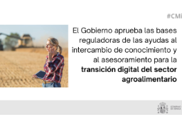 Hoy, en Consejo de Ministros