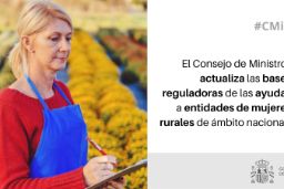 Hoy, en Consejo de Ministros 