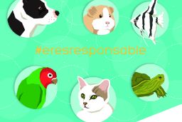 SIGUIENDO LOS PRINCIPIOS DE LA CAMPAÑA DE TENENCIA RESPONSABLE DE ANIMALES DE COMPAÑÍA 