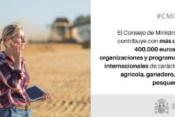 Hoy, en el Consejo de Ministros