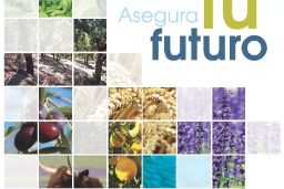 A TRAVÉS DE LA ENTIDAD ESTATAL DE SEGUROS AGRARIOS 