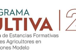 ENTRE EL 6 Y EL 20 DE OCTUBRE    