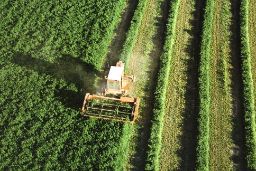 En el ámbito del Plan Estratégico de la Política Agraria Común  