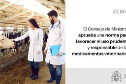 Hoy, en Consejo de Ministros