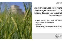 Hoy, en Consejo de Ministros