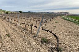 Con un plazo de ejecución de 24 meses