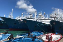 Nota de prensa conjunta de los ministerios de Agricultura, Pesca y Alimentación y de Exteriores, Unión Europea y Cooperación