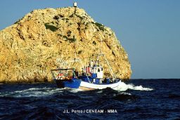 De acuerdo con el Plan de Gestión 