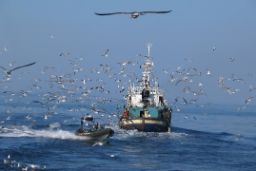 46ª reunión anual de NAFO, en Halifax (Canadá)
