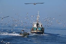 La resolución ha sido publicada hoy en el BOE