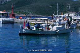 EN EL MARCO DEL PROTOCOLO GENERAL DE ACTUACIÓN PARA EL IMPULSO DEL CRECIMIENTO AZUL EN EL MEDITERRÁNEO 