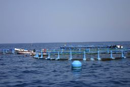 La convocatoria se ha publicado en el BOE