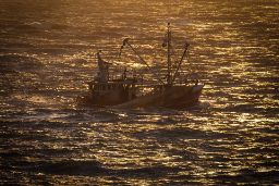 Secretaría General de Pesca