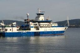 PARTE MAÑANA DESDE EL PUERTO DE VIGO 