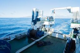 EN EL ÁMBITO DE LA COOPERACIÓN ENTRE EL MINISTERIO DE AGRICULTURA, PESCA Y ALIMENTACIÓN Y EL MINISTERIO DE LAS PESCAS DE LA REPÚBLICA DE GUINEA BISSAU 