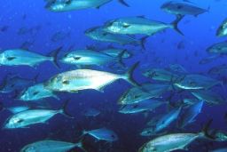 RUBRICADO EL PASADO SÁBADO EN BRUSELAS