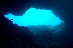 En 2019 se cumplen 33 años de la creación de Isla de Tabarca (Alicante), la primera reserva marina de interés pesquero