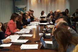 EN REUNIONES PRESIDIDAS POR LA DIRECTORA GENERAL DE RECURSOS PESQUEROS Y EL DIRECTOR GENERAL DE ORDENACIÓN PESQUERA Y ACUICULTURA 