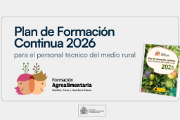 Publicado en la web el plan para 2026