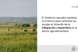 Hoy, en Consejo de Ministros