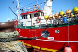 El extracto de orden de convocatoria se ha publicado hoy en el BOE 