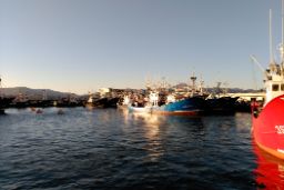 Tras conocer la propuesta de la CE para el 2020