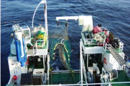Ha llegado hoy al puerto de Vigo 