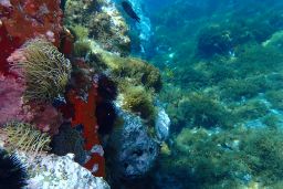 La orden se ha publicado hoy en el BOE